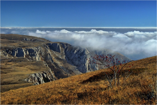 Экономика Белогорского района (Крым)