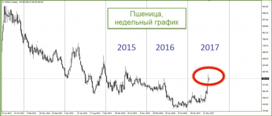 Россия на мировом рынке пшеницы