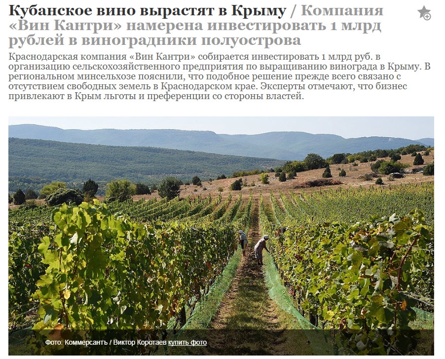 Что выращивают в крыму. Виноград растущий в Крыму. Где выращивают виноград. Виноградарство в России сообщение.