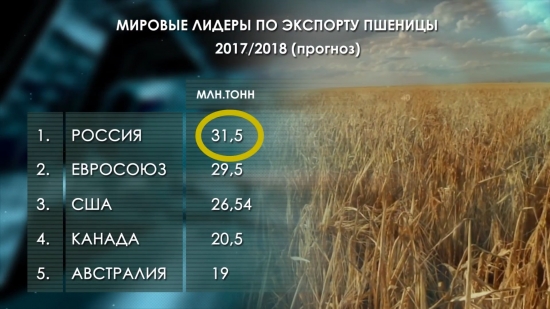 Россия на рынке зерновых-2017