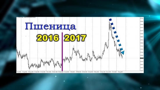 Россия на рынке зерновых-2017
