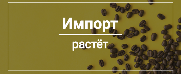 Кофе: от импорта к экспорту / Кофе на Руси / Кофейное дерево в квартире