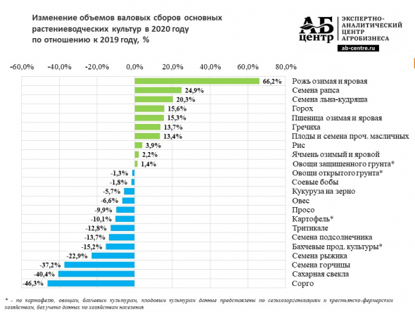 10 картинок этого дня, или Гречки стало больше (11.02.2021)