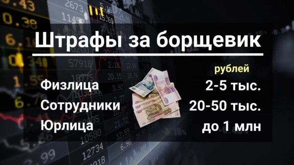 Повышение ставки неизбежно / Осуждённые косят борщевик / Зачем вернут 10-рублёвые банкноты?