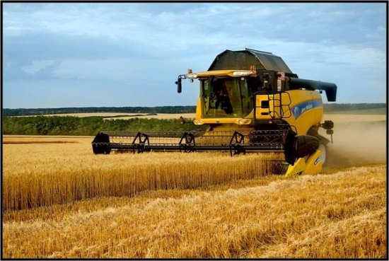 В Крыму урожай ранней зерновой группы в этом году уже превысил прошлогодние показатели в 2,5 раза