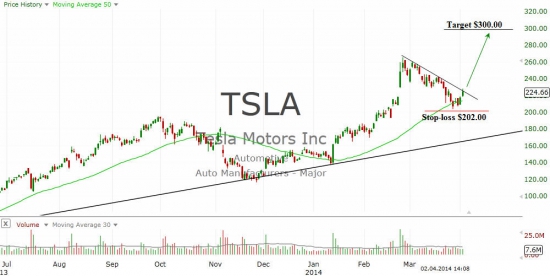 Tesla Motors, Inc. (TSLA)