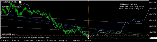 AUDNZD - не упустите свой звездный шанс сегодня....долгосрочный  ЛОНГ на 1.1753 от текущих 1.016