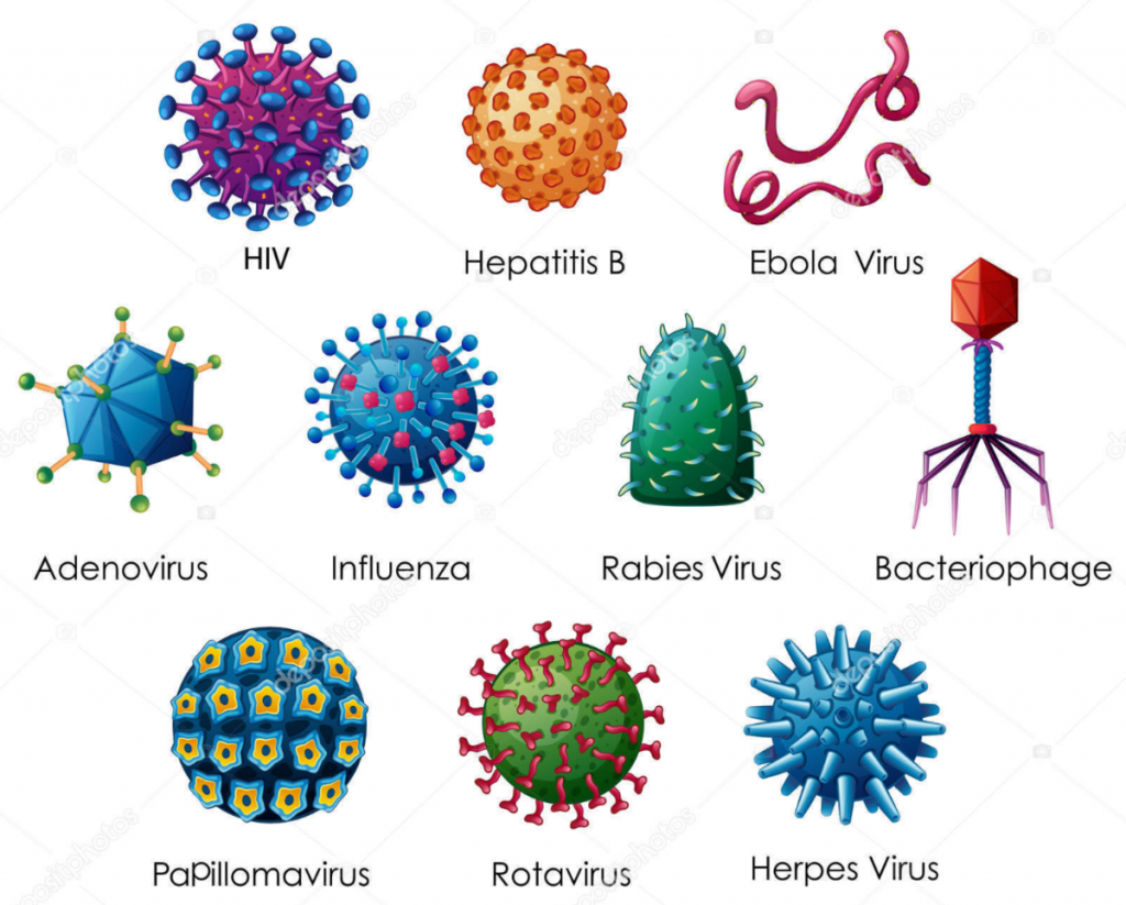 papilloma vírus és HIV hogyan fordul elő a giardiasis a gyermekeknél?
