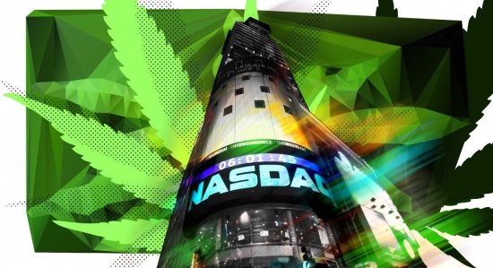 Дуй на NASDAQ: производитель марихуаны выпустил акции