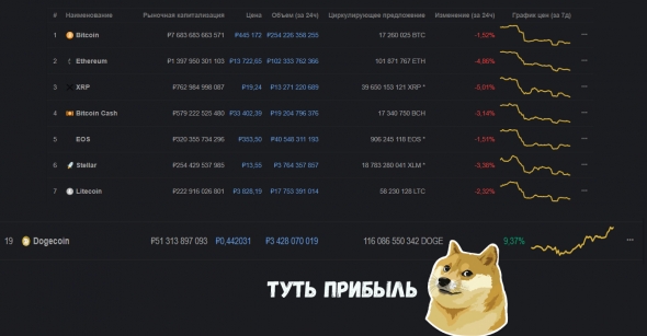 Dogecoin недооцененная криптовалюта, идет против всех!