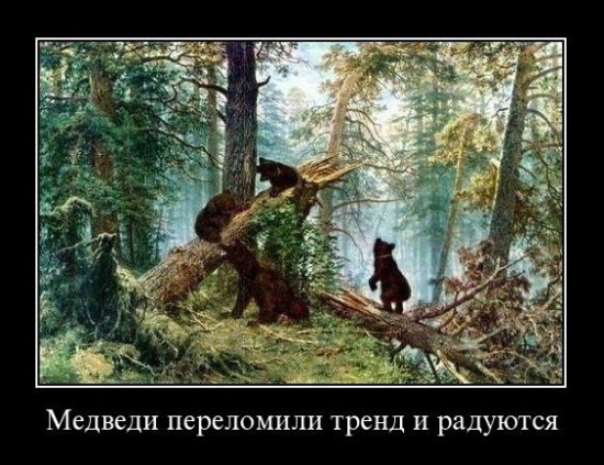 Медведи радуются)