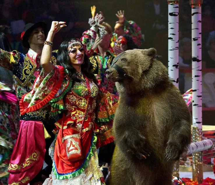 Песня танцующие медведи. Цыгане с медведем. Медведь в цирке. Цыганский цирк. Цыганский табор с медведем.