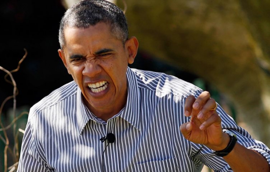 В КНДР назвали Обаму «обезьяной в тропическом лесу»