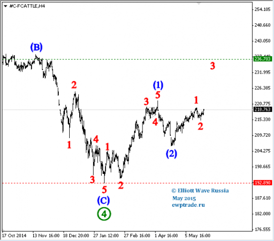 EUR/RUB, EUR/CAD, CAD/JPY, FeedCattle