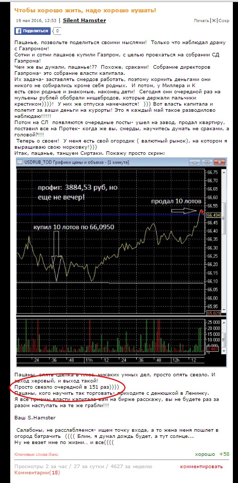 hamster profits screen