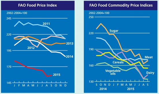 Второй полугодовой обзор цен FAO (пищевые рынки)