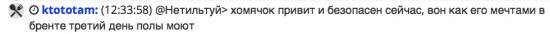 Будни трудового чатика. Без шуток. Всё серьёзно.