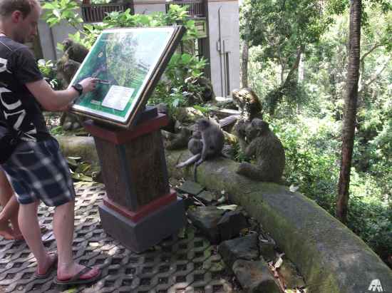 Убуд Бали Индонезия Парк