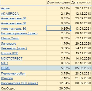 Портфель российских акций 30,94%