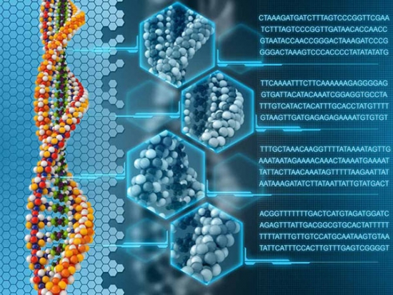 Суперпамять в ДНК - суперфлешка в одном грамме.