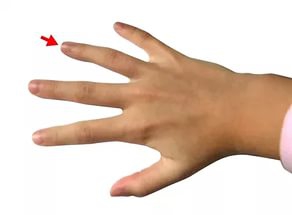 Взаимосвязь длины пальцев рук и успешности трейдера