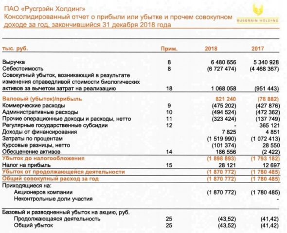 Русгрэйн - убыток по МСФО в 2018 г увеличился на 5%