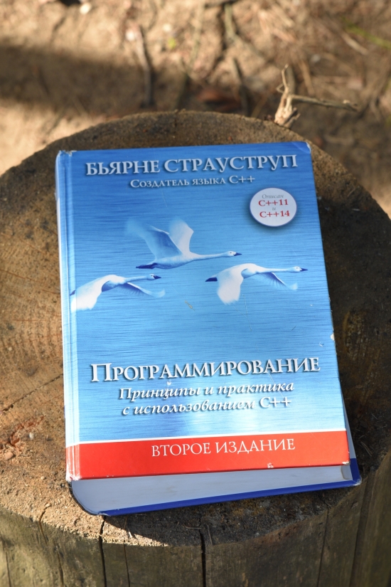 Чем кончился глобальный ремонт на Биржевой площади?