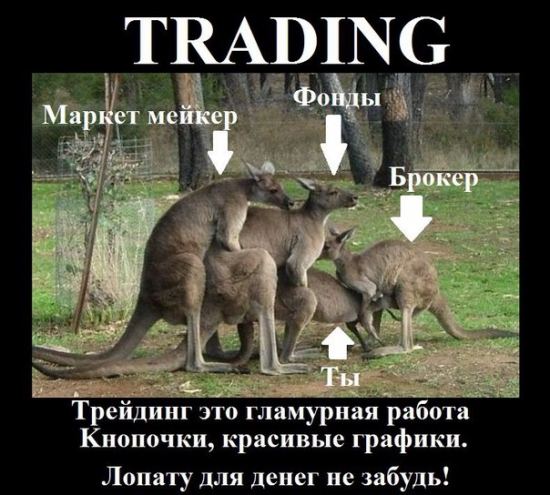 торговать на бирже - быть финансово свободным говорили они...