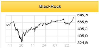 В течение года акции BlackRock будут торговаться на уровне рынка - Фридом Финанс