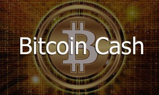 Криптовалюта: Bitcoin Cash ( BCH )