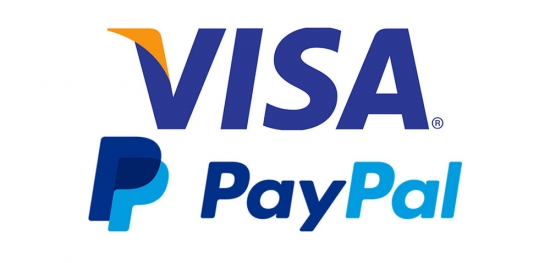 Представители Visa и PayPal высказали диаметрально противоположные мнения о Биткоине