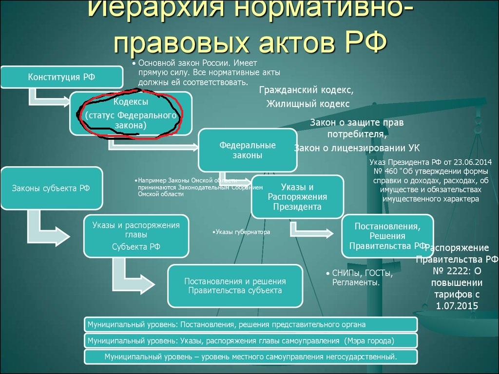 Где смотреть проекты законов