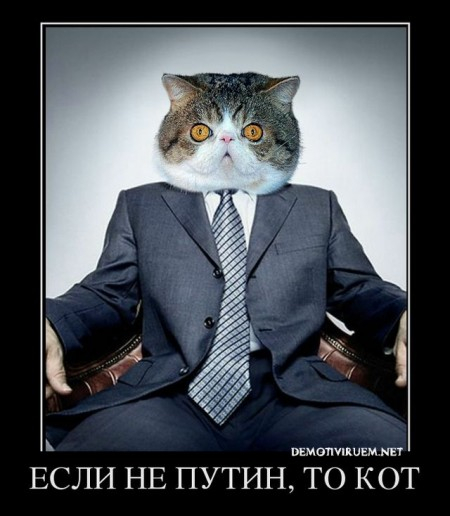 Беседы с Рептиловичем - ч.47: Вся власть котам! Как котики захватили мир