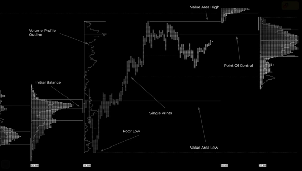 Теория Аукциона / Trading Riot / Market Profile & Volume Profile