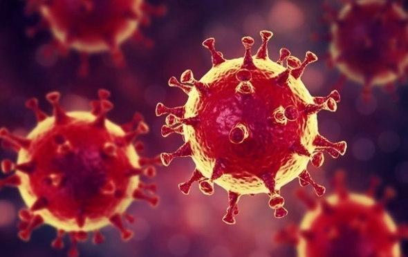 В Эстонии нашли два новых штампа коронавируса, а ВОЗ ошарашила мир, заявив что вирус неподедим