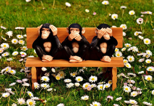 🙈🙉🙊 Трейдер и 3 обезьянки