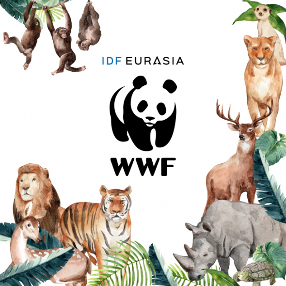 IDF Eurasia начала сотрудничество с Всемирным фондом дикой природы
