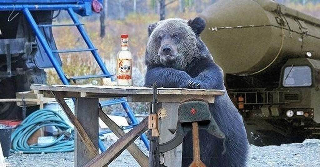 Медведь Аппарат